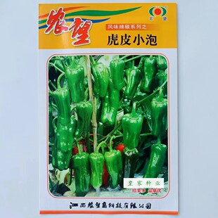 虎皮小泡辣椒种子灯笼薄皮椒春秋种植蔬菜种子基地虎皮椒种籽