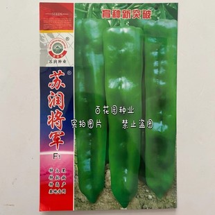 苏润将军大果牛角椒种子微辣皮薄抗病高产大椒种籽辣椒种子基地