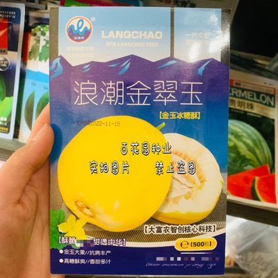 浪潮金翠玉甜金翠玉甜瓜种