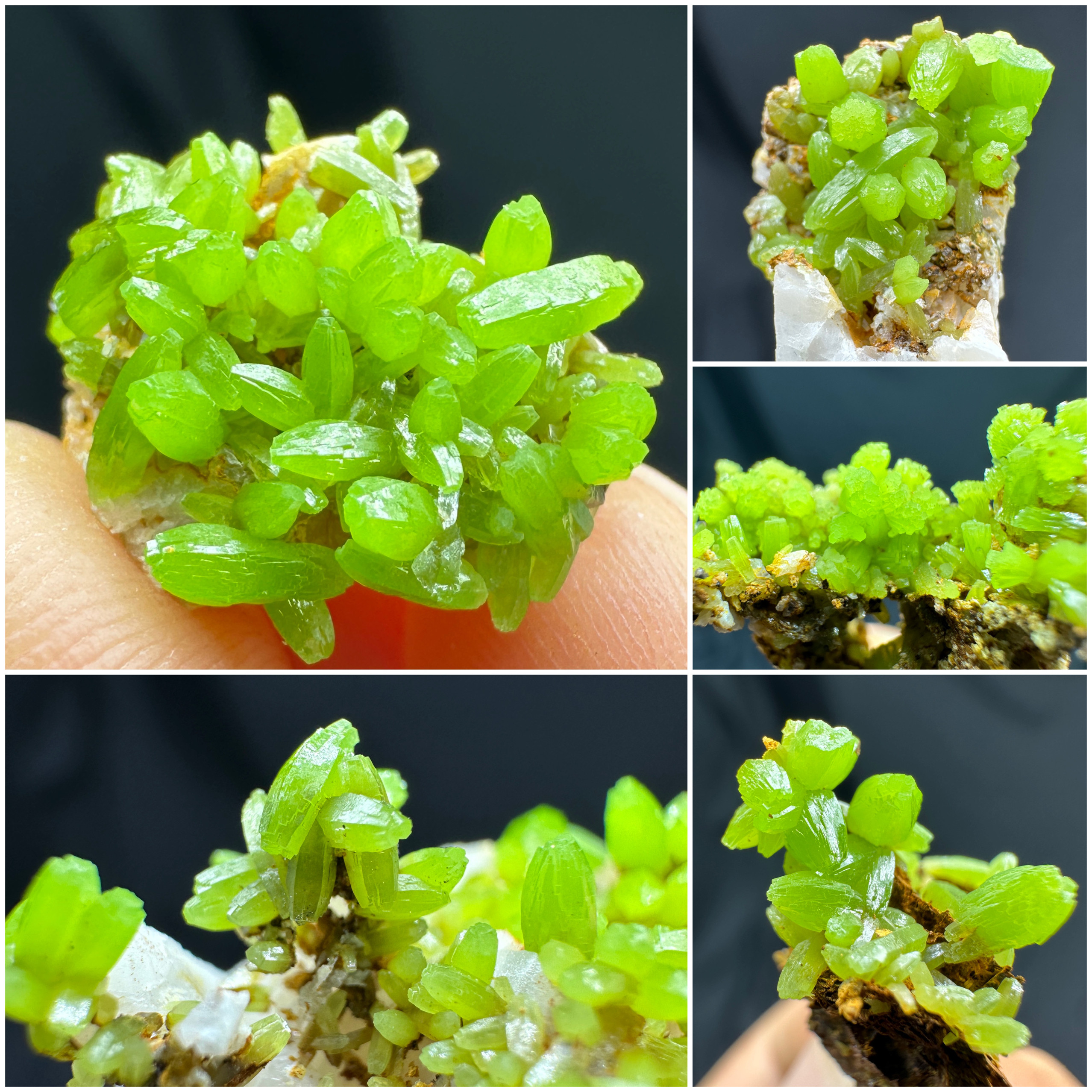 精品嫩绿色磷氯铅矿天然矿物晶体矿石标本摆件教学地质观赏收藏