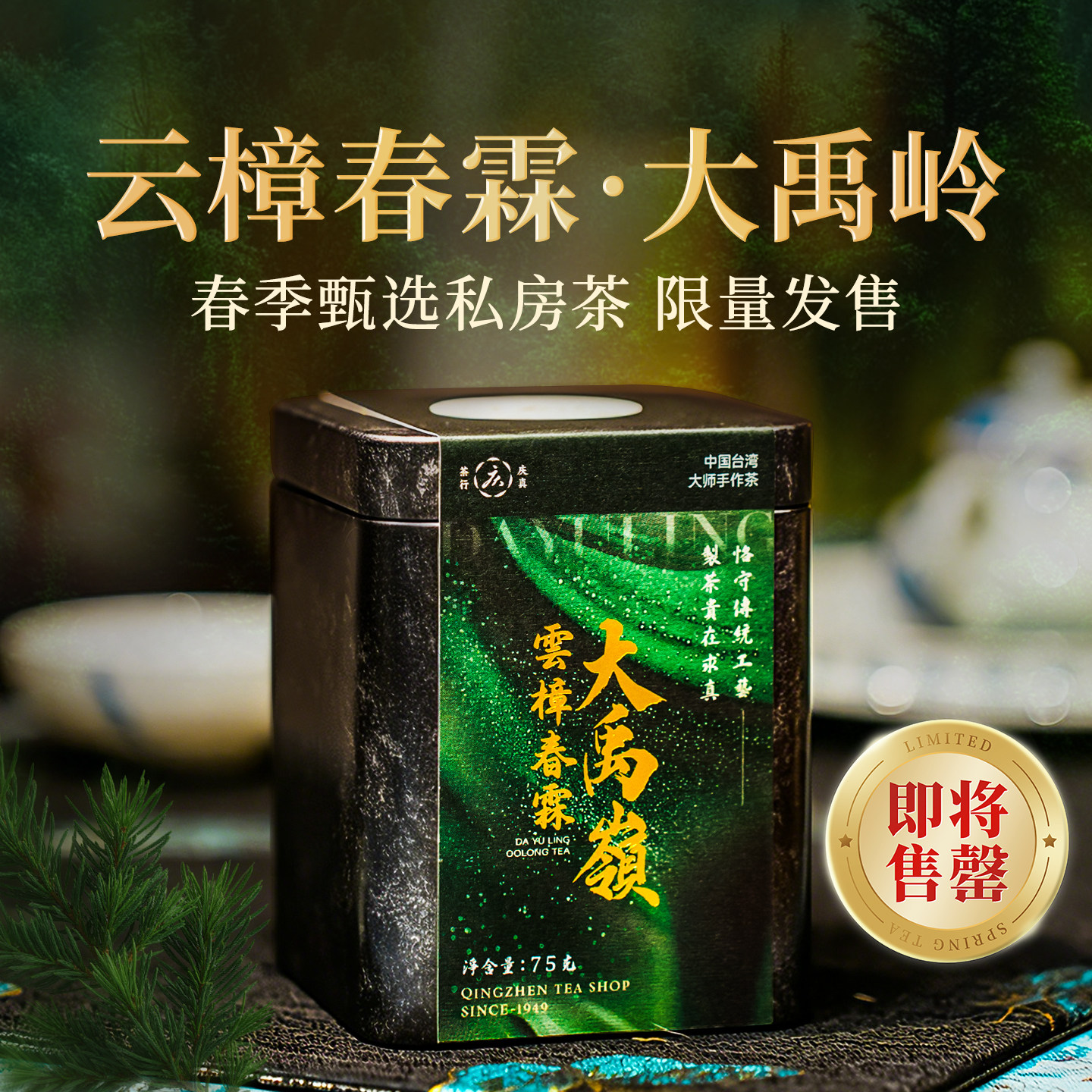 春季私房茶台湾2700米高山乌龙茶