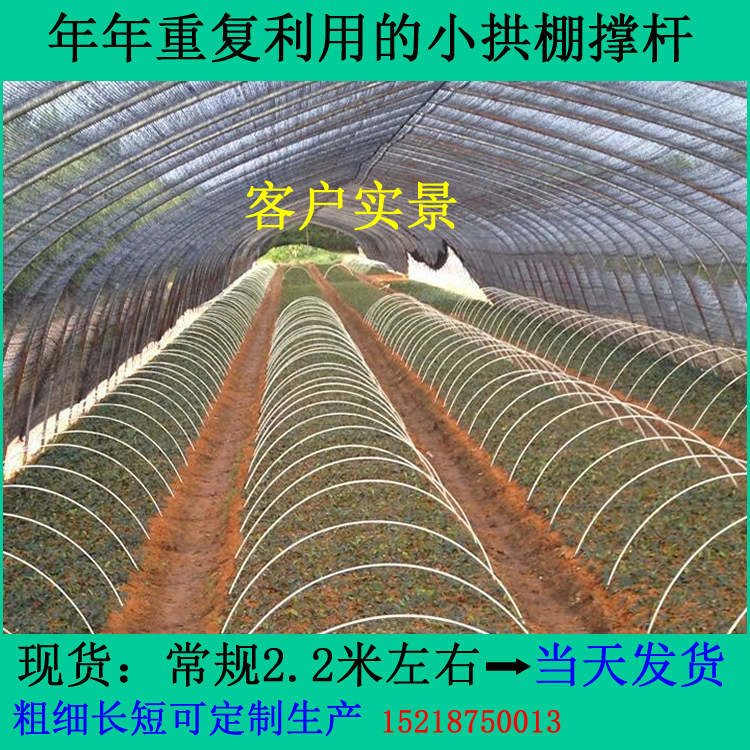 10支装育苗小拱棚杆植物保温拱竿地膜支架弓篷耐用二十年不变形高性价比高么？