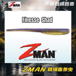 ZMAN面条虫Finesse Shadz内德倒钓精细4寸面条虫INCHWACKY