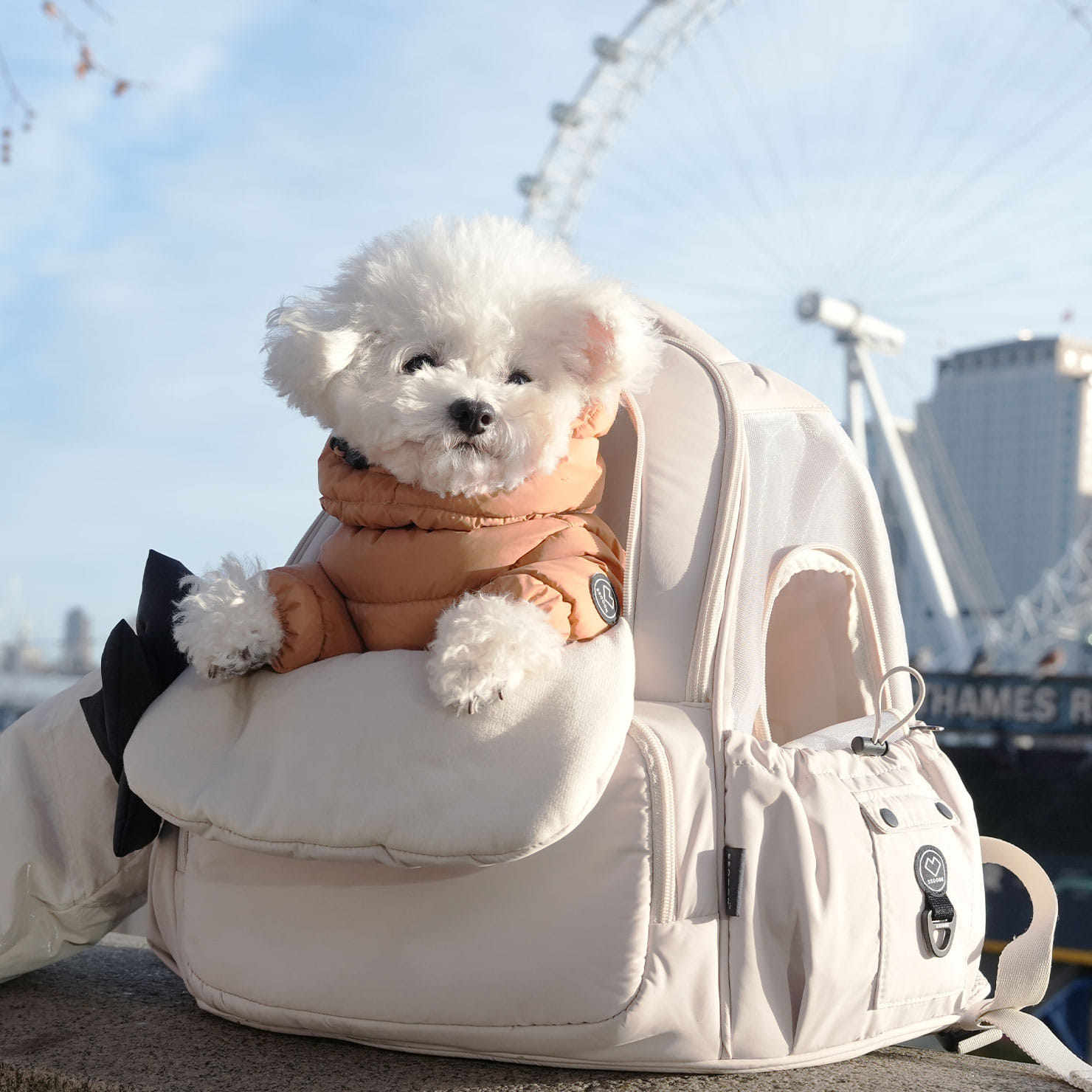 预定/燕子萌宠屋韩国代购ssoook宠物猫狗网眼前袋外出包V型双面窗,宠物/宠物食品及用品,猫狗床/躺椅,淘宝优惠券,粉丝福利购,淘宝优惠卷