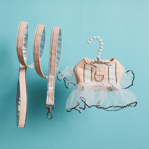 燕子萌宠屋韩国代购 louisdog宠物猫狗条纹蕾丝胸背套含牵引绳