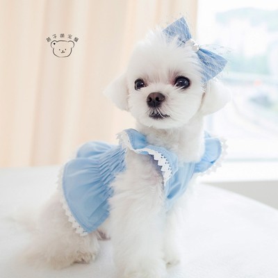 燕子萌宠屋韩国代购cocochien宠物猫狗春夏季花边弹力松紧连衣裙