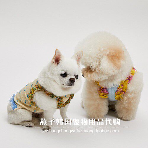 燕子韩国宠物衣服代购 louisdog猫狗上衣 花边黄色吊带背心