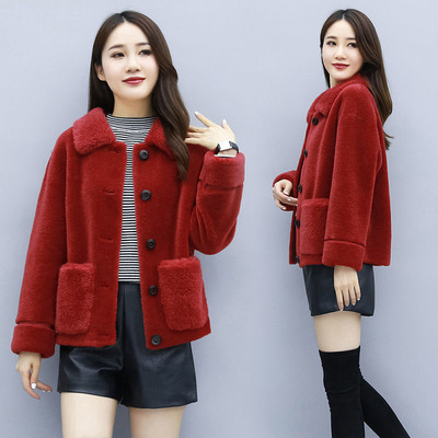 海宁短款羊羔毛反季风颗粒毛毛