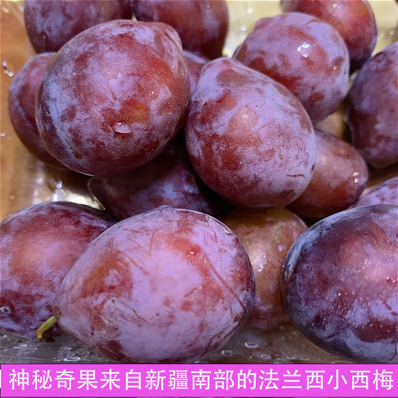 喀什西梅新疆甜蜜多汁新鲜采摘