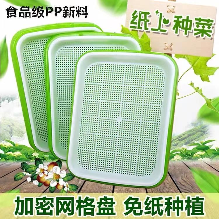 育苗盘芽菜种植保温湿盆水