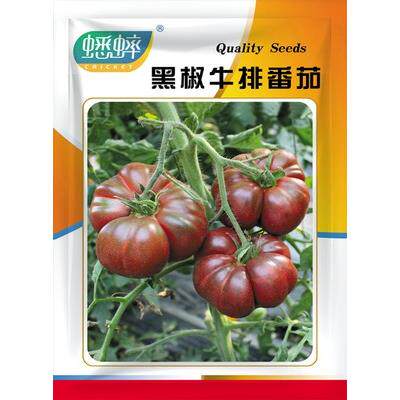 水果牛排番茄种子大粉苗西