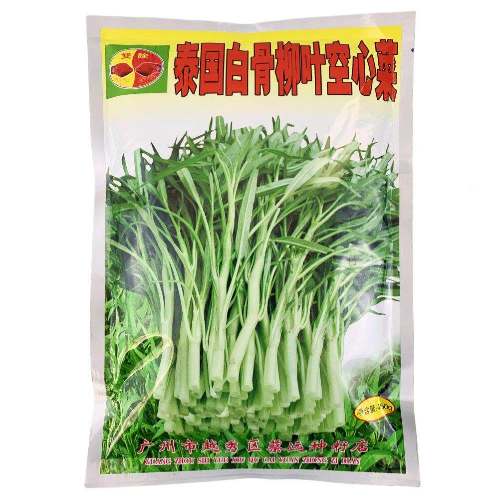 泰国白骨柳叶空心菜种子农