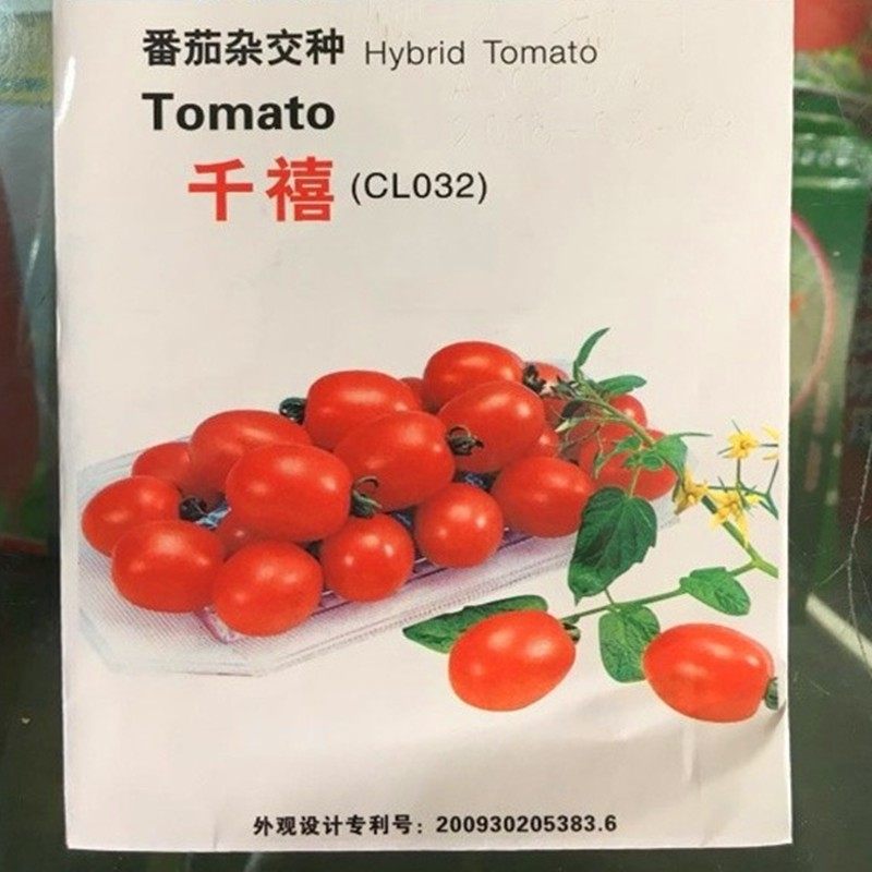 台湾农友千禧小番茄种子苗