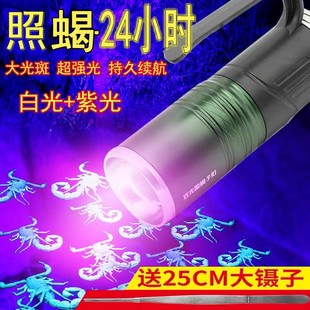 养蝎子灯超亮户外手提灯手电筒可充电大功率强光紫光灯