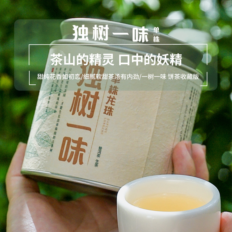 单株龙珠】2026独树一味·魁云南古树春茶普洱茶生茶100g/罐