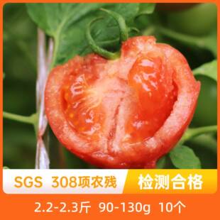 辰颐物语爱琴海番茄自然熟西红柿4斤新鲜沙瓤大番茄生吃水果柿子