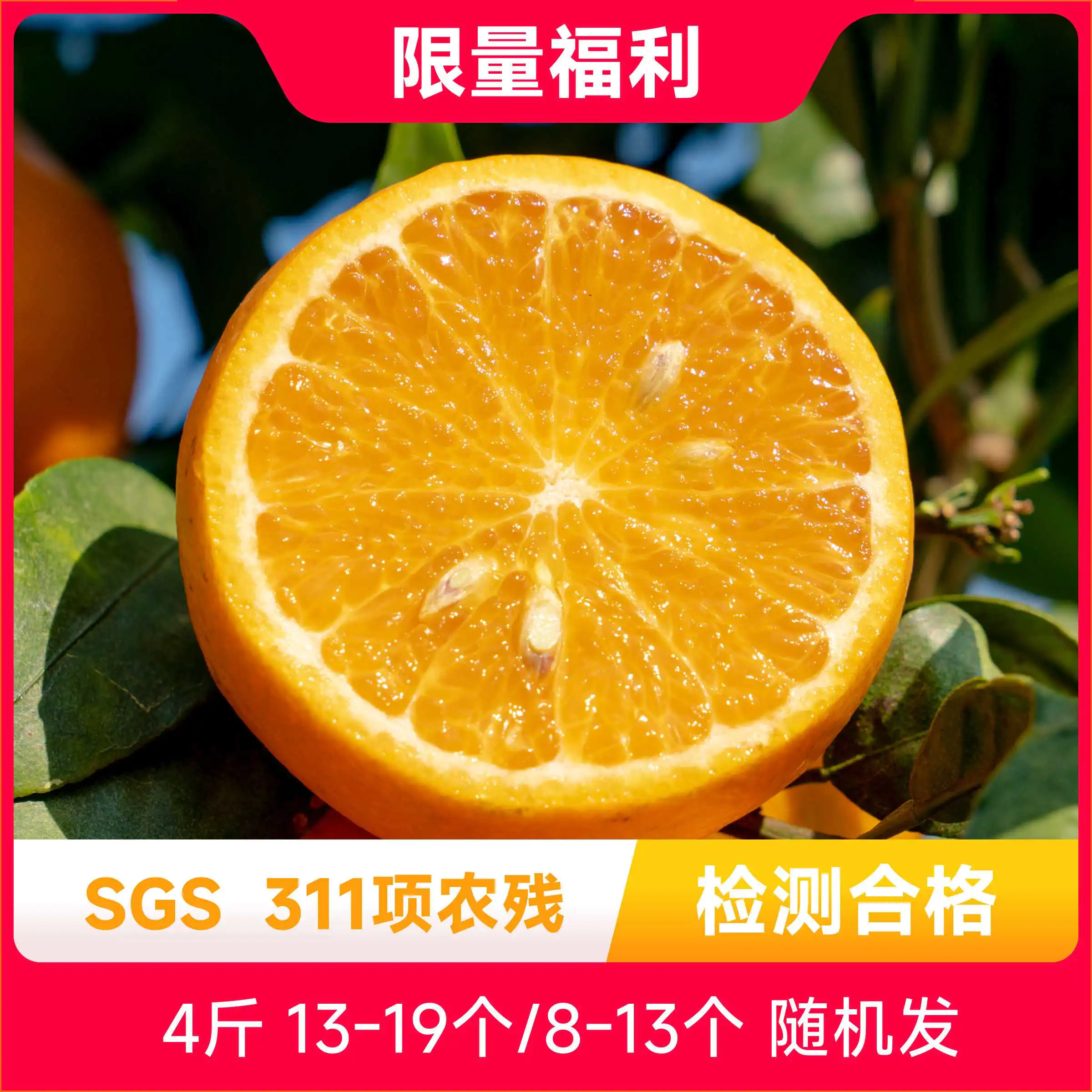 辰颐物语云南玉溪沃柑橘子香甜应当季现摘新鲜孕妇水果直发包邮