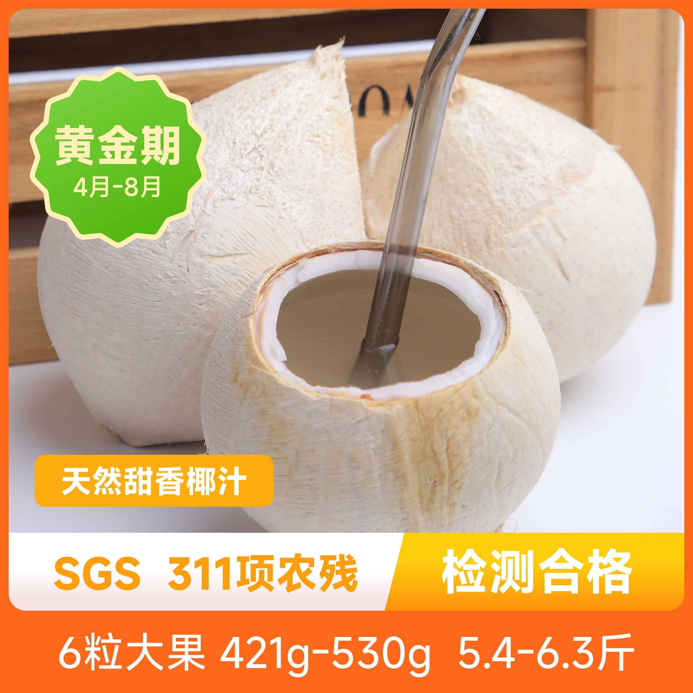 辰颐物语泰国进口小奶椰皇丹嫩沙多香水煲鸡汤老椰子孕妇新鲜水果图片