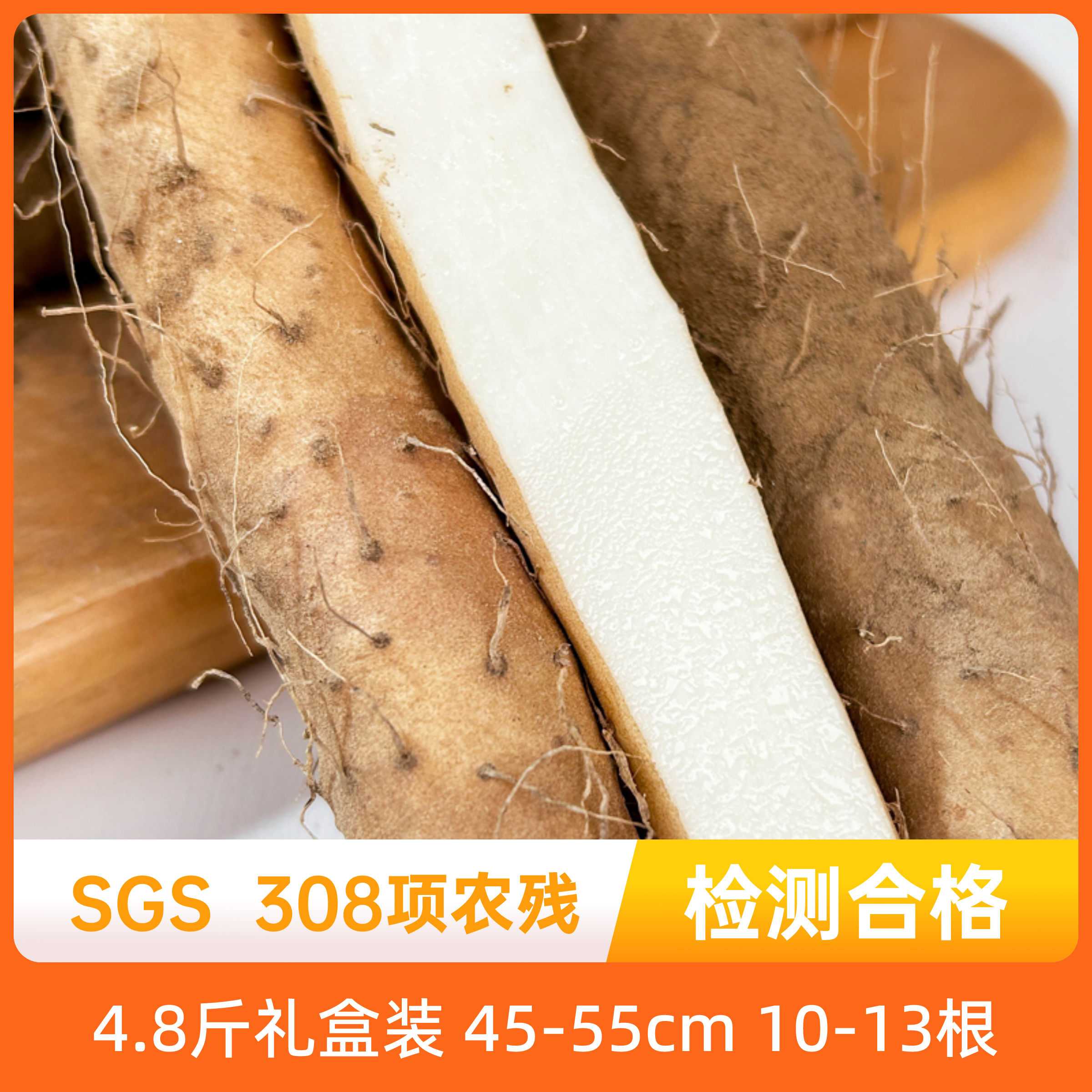 辰颐物语河北蠡县小白嘴山药新鲜3斤蔬菜官方铁杆淮山非温县垆土图片