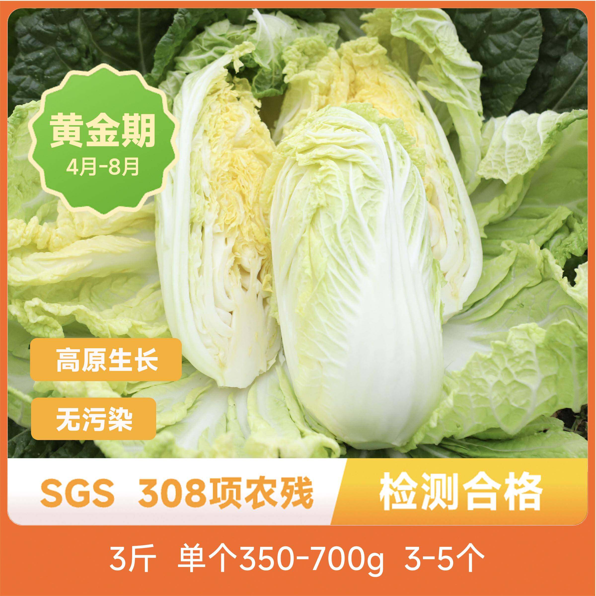 辰颐物语云南黄心娃娃菜大白菜心当季时令蔬菜微甜露天种植新鲜