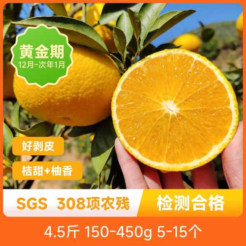 辰颐物语福建甜桔柚新鲜柚子甜心建阳黄金贡柚水果橘柚现摘包邮