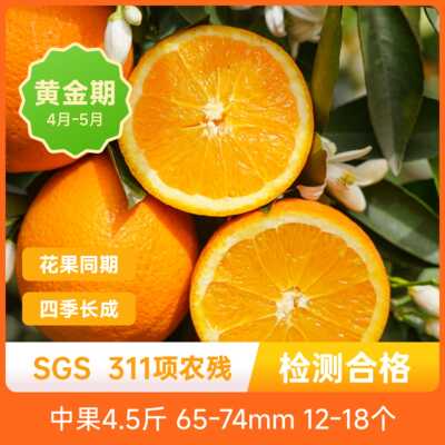 辰颐物语伦晚脐橙正宗秭归橙子甜橙应当季现摘现发新鲜水果旗舰店