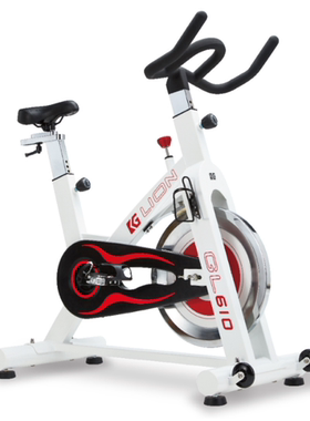 RoyalFit罗菲健RL-610动感单车多功能健身健身房专用