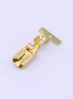 170234-1 170234-1 - 插片插簧端子