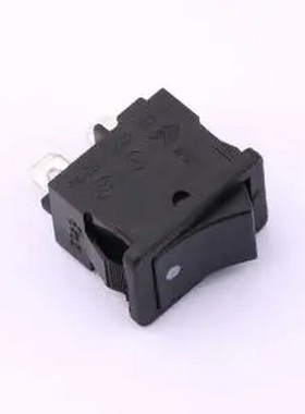 SS21-BBDWG2-S2-R D/C 翘板开关 插件,21x15mm 船型开关