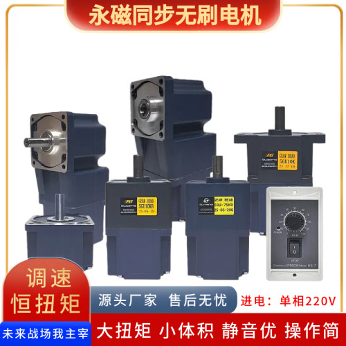 220V永磁同步可调速无刷电机马达