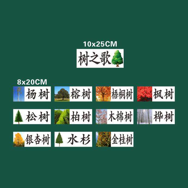 小学二年级上册语文树之歌板书设计公开课优质课评比磁性黑板教具