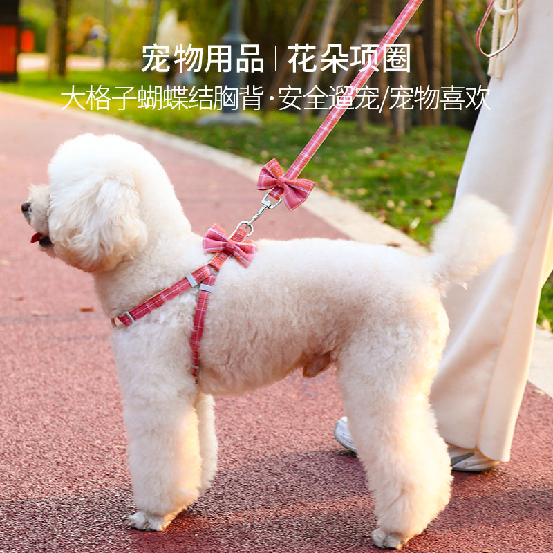 狗牵引绳宠物胸背带大格子蝴蝶结狗链子中小型狗绳蝴蝶结宠物链子