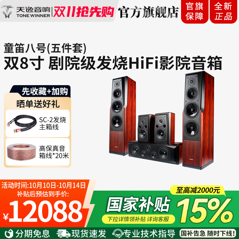 Winner/天逸 童笛八号 TD-8家庭影院音响套装高保真落地式音箱