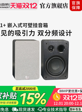 Winner/天逸TS-6.1+/6.2C/8.1+嵌入隐藏式壁挂前置环绕影院音箱
