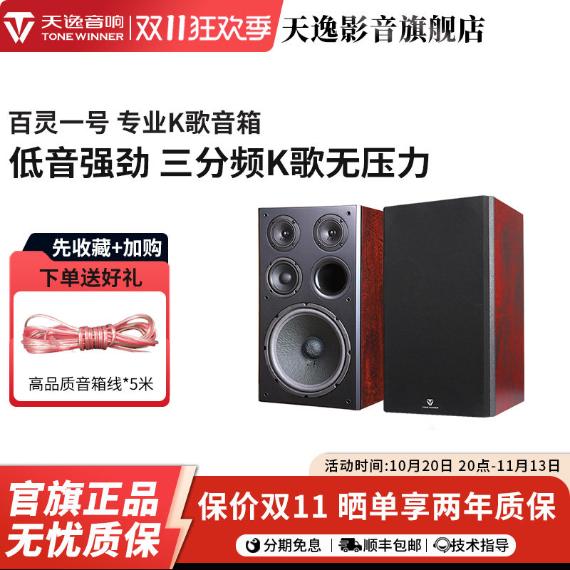Winner/天逸 BL-1百灵一号卡拉OK音箱专业KTV家庭K歌卡包音箱