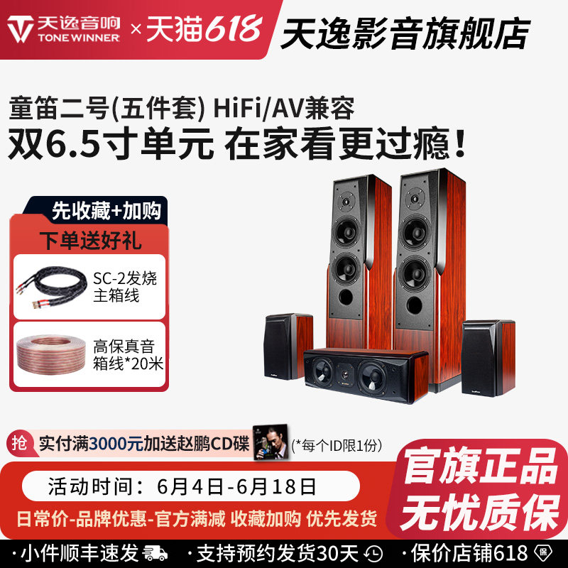 Winner/天逸 童笛二号TD-2家庭影院HIFI落地音箱专业木质无源音响