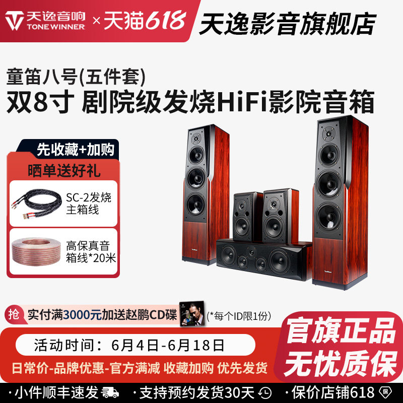 Winner/天逸 童笛八号 TD-8家庭影院音响套装高保真落地式音箱