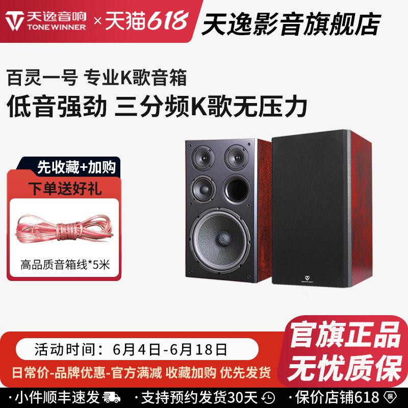 Winner/天逸 BL-1百灵一号卡拉OK音箱专业KTV家庭K歌卡包音箱