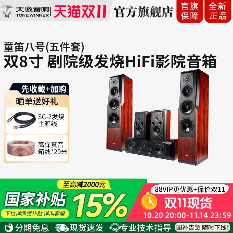Winner/天逸 童笛八号 TD-8家庭影院音响套装高保真落地式音箱
