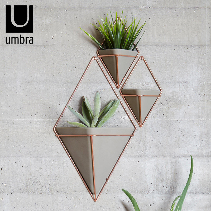 umbra originality Flower trellis Wall Planter Northern Europe Accommodation home a living room three-dimensional Botany metope ornamentin the Home accessories , Mural  category - from Buy2taobao.com to provide professional Taobao agent buy service