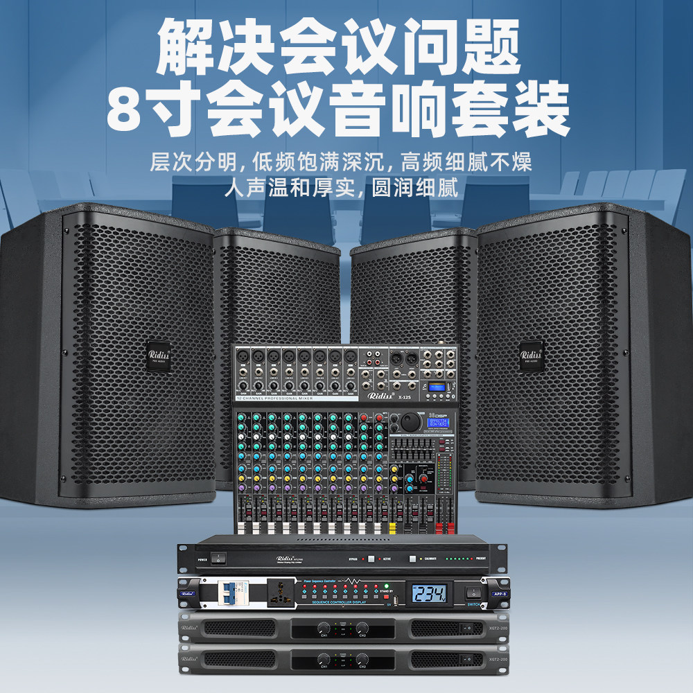 Ridiss中小型会议室音响套装舞蹈教学系统多功能培训演讲音箱全套