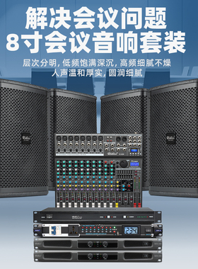 Ridiss中小型会议室音响套装舞蹈教学系统多功能培训演讲音箱全套
