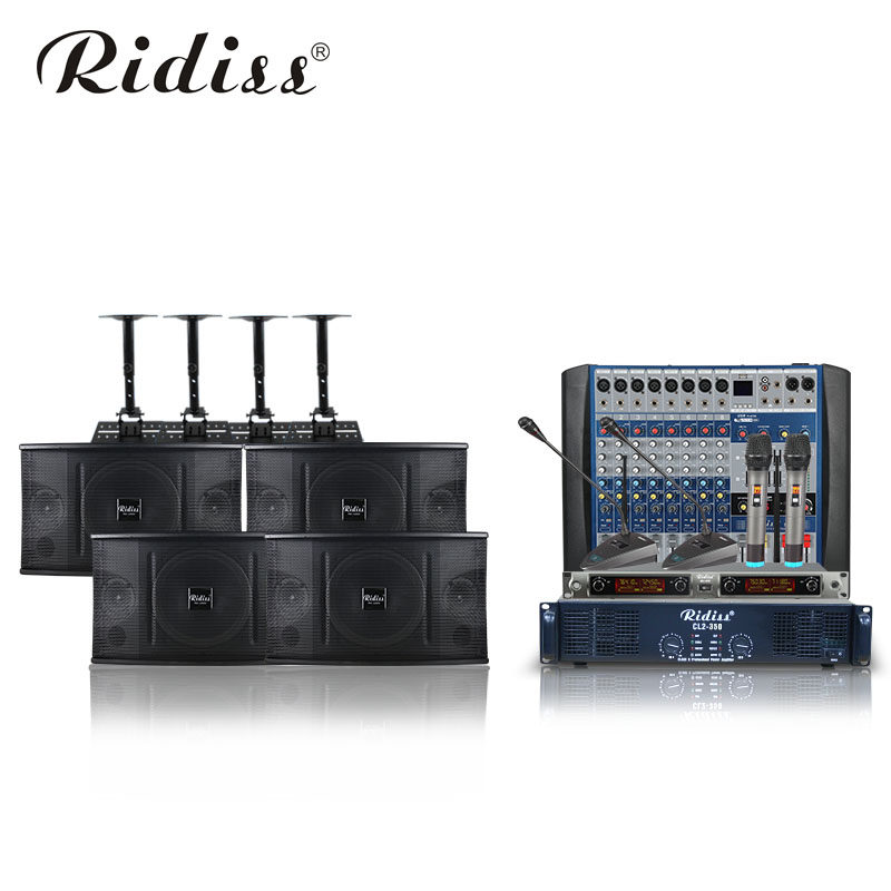 Ridiss 大中小型会议室音响套装系统舞蹈教学培训演讲多媒体全套