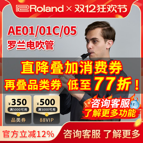 罗兰AE01C电吹管Roland
