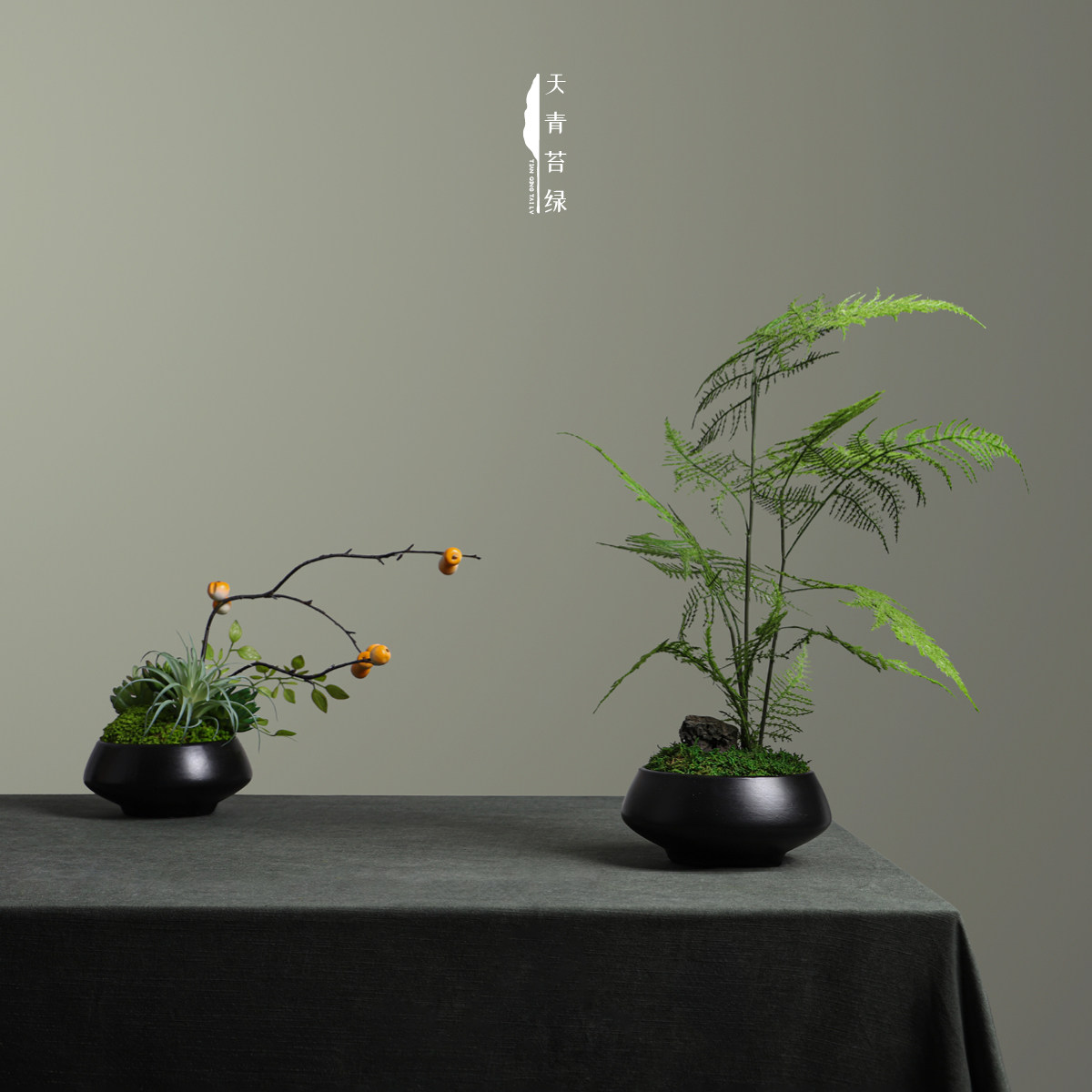 天青苔绿永生苔藓仿真文竹盆景