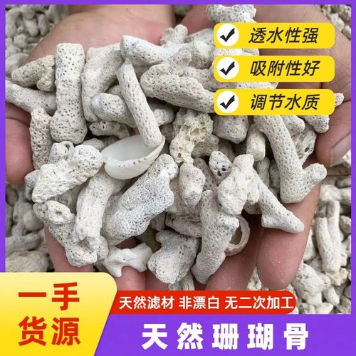珊瑚石过滤净水滤材全套