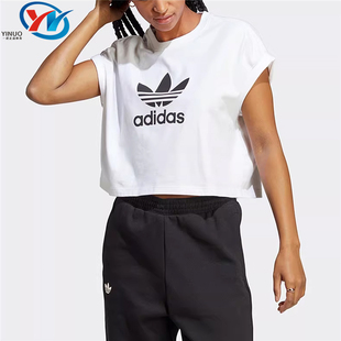 SHORT TEE 女子运动短袖 Adidas IC5467 三叶草 T恤 5468 阿迪达斯