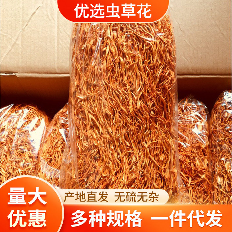 虫草花新鲜干货北虫草金菇煲汤材料虫草花金菇煲汤工厂直发