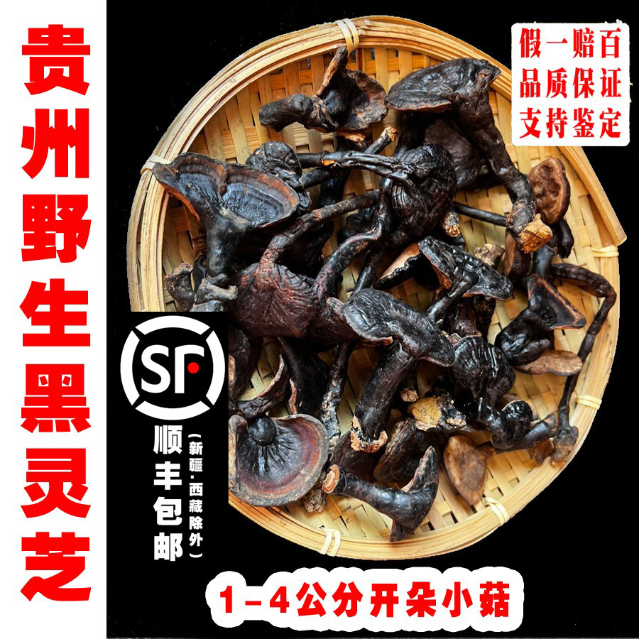 贵州纯野生灵芝紫灵芝林芝非特级整枝可切片泡酒黑灵芝500g