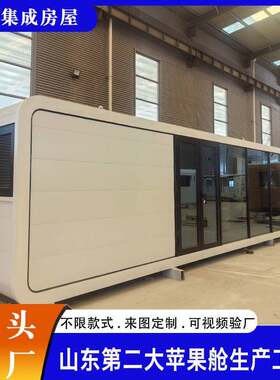 外贸40尺苹果仓小屋两室一厅一厨一卫家具齐全预制居住民宿房